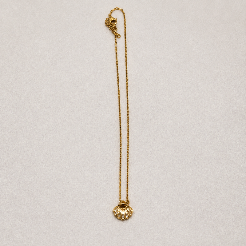 Hidden Pearl Shell Necklace